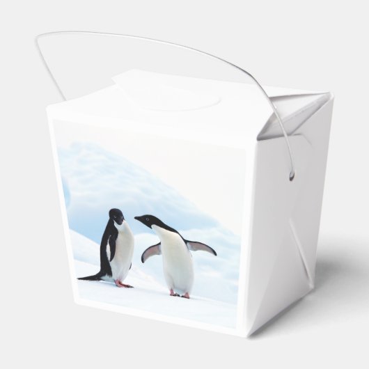 Adelie Penguins Geschenkschachtel (Rückseite)