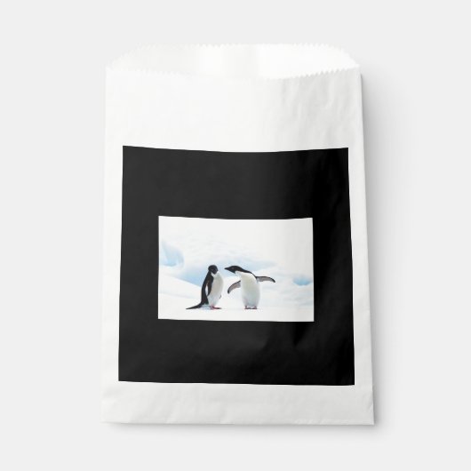 Adelie Penguins Geschenktütchen (Vorderseite)