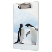 Adelie Penguins Klemmbrett (Links)
