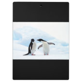 Adelie Penguins Klemmbrett (Rückseite)