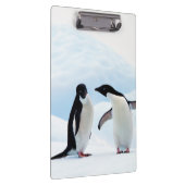 Adelie Penguins Klemmbrett (Rechts)