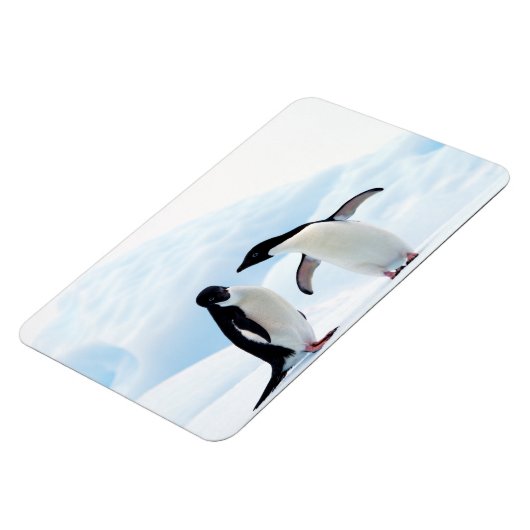 Adelie Penguins Magnet (Linke Seite)