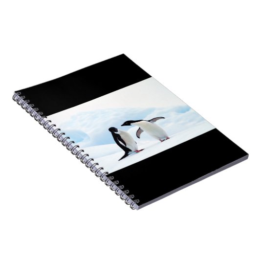 Adelie Penguins Notizblock (Rechte Seite)