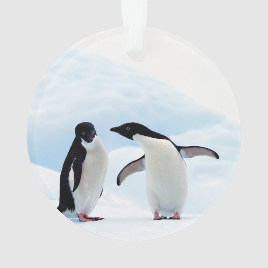 Adelie Penguins Ornament (Rückseite)
