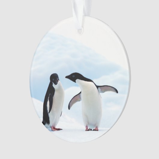 Adelie Penguins Ornament (Vorderseite)