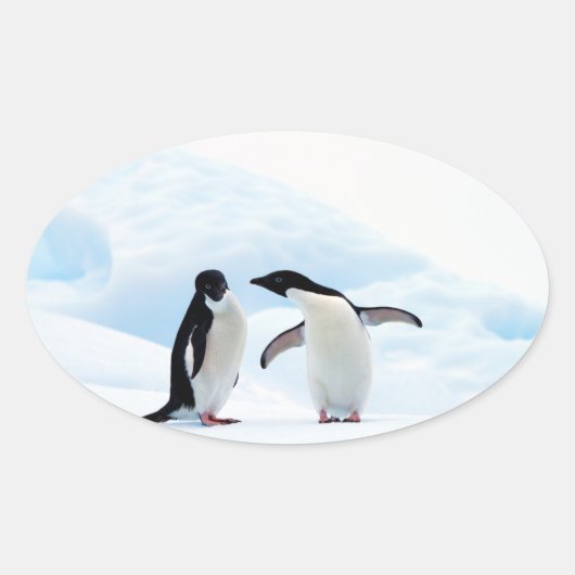 Adelie Penguins Ovaler Aufkleber (Vorderseite)