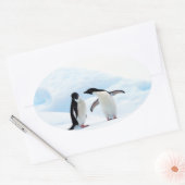 Adelie Penguins Ovaler Aufkleber (Umschlag)
