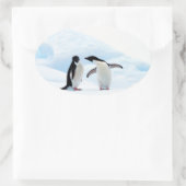 Adelie Penguins Ovaler Aufkleber (Tasche)