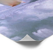 Adelie Penguins Poster (Ecke)