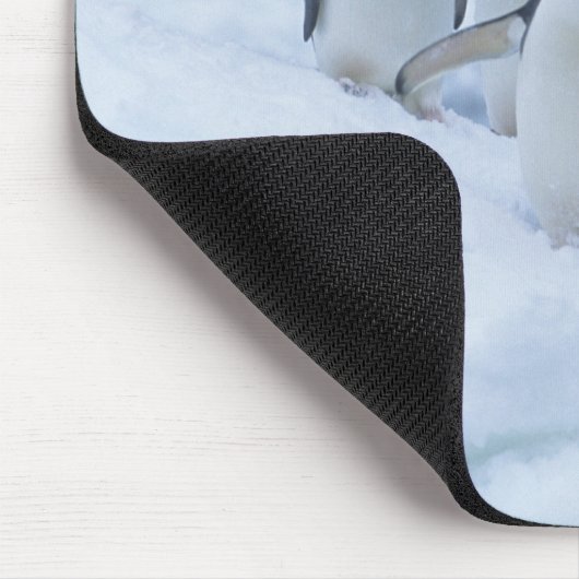 Adelie Penguins (Pygoscelis adeliae) auf Eis, Mousepad (Ecke)