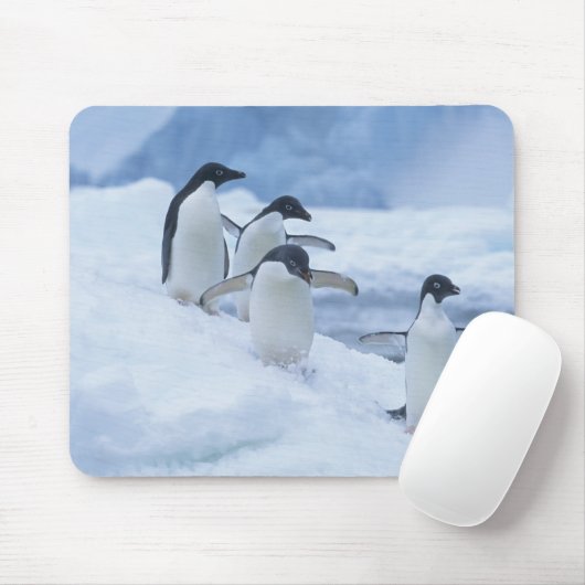 Adelie Penguins (Pygoscelis adeliae) auf Eis, Mousepad (Mit Mouse)