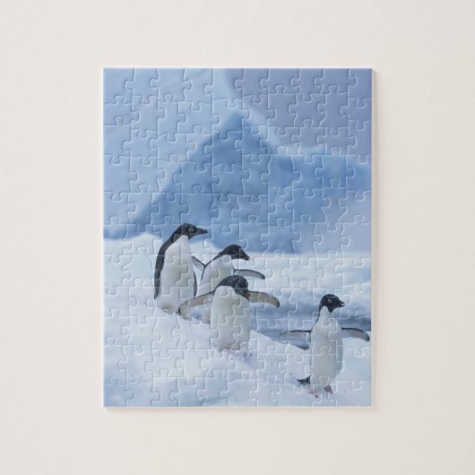 Adelie Penguins (Pygoscelis adeliae) auf Eis, Puzzle (Vertikal)