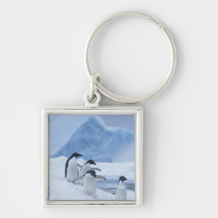 Adelie Penguins (Pygoscelis adeliae) auf Eis, Schlüsselanhänger