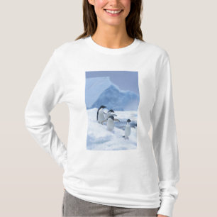 Adelie Penguins (Pygoscelis adeliae) auf Eis, T-Shirt