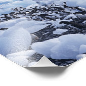 Adelie Penguins Pygoscelis adeliae Fotodruck (Ecke)