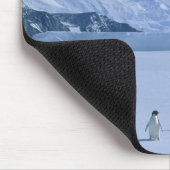 Adelie Penguins, Pygoscelis adeliae), Mousepad (Ecke)
