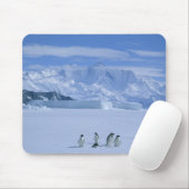 Adelie Penguins, Pygoscelis adeliae), Mousepad (Mit Mouse)