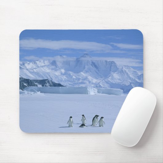 Adelie Penguins, Pygoscelis adeliae), Mousepad (Mit Mouse)