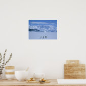 Adelie Penguins, Pygoscelis adeliae), Poster (Küche)
