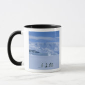 Adelie Penguins, Pygoscelis adeliae), Tasse (Links)