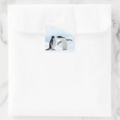 Adelie Penguins Quadratischer Aufkleber (Tasche)