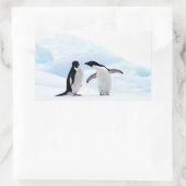 Adelie Penguins Rechteckiger Aufkleber (Tasche)