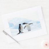 Adelie Penguins Rechteckiger Aufkleber (Umschlag)