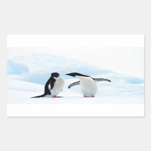 Adelie Penguins Rechteckiger Aufkleber