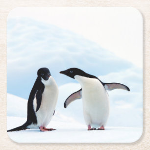 Adelie Penguins Rechteckiger Pappuntersetzer