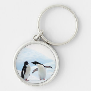 Adelie Penguins Schlüsselanhänger
