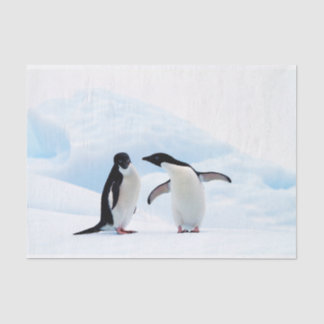 Adelie Penguins Seidenpapier