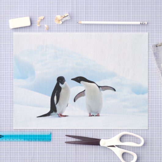 Adelie Penguins Seidenpapier (Handwerk)