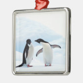 Adelie Penguins Silbernes Ornament (Links)