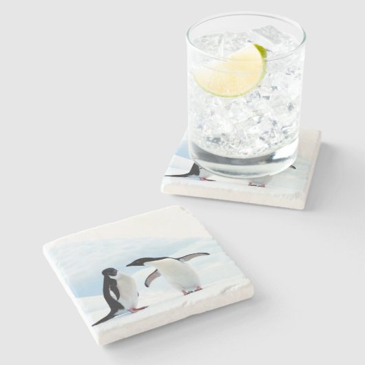 Adelie Penguins Steinuntersetzer (Seitenansicht)