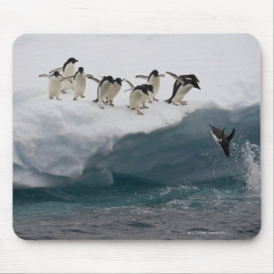 Adelie Penguins tauchen in Meer Paulette Mousepad