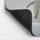 Adelie Penguins über Eisflüsse Mousepad (Ecke)