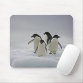 Adelie Penguins über Eisflüsse Mousepad (Mit Mouse)