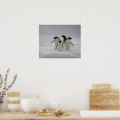 Adelie Penguins über Eisflüsse Poster (Küche)