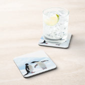 Adelie Penguins Untersetzer (Rechte Seite)