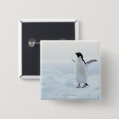 Adelie Pinguin, Antarktis Button (Vorne & Hinten)