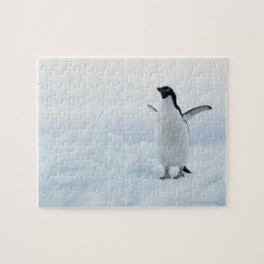 Adelie Pinguin, Antarktis Puzzle (Horizontal)