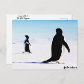 Adélie Pinguin Dancer und Friend Postkarte (Vorne/Hinten)