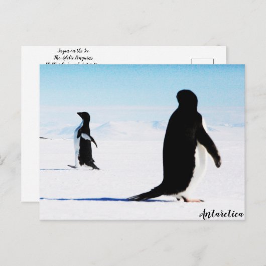 Adélie Pinguin Dancer und Friend Postkarte (Vorne/Hinten)