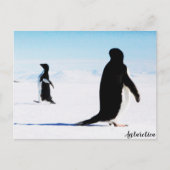 Adélie Pinguin Dancer und Friend Postkarte (Vorderseite)