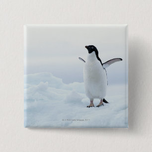 Adelie-Pinguin, die Antarktis Button