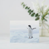 Adelie-Pinguin, die Antarktis Postkarte (Stehend Vorderseite)