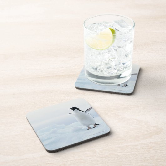 Adelie-Pinguin, die Antarktis Untersetzer (Rechte Seite)