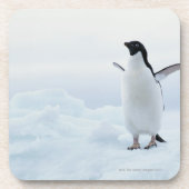 Adelie-Pinguin, die Antarktis Untersetzer (Vorderseite)