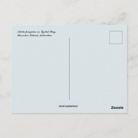 Adelie Pinguine auf der Insel Horseshoe Antarktis Postkarte (Rückseite)