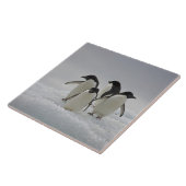 Adelie-Pinguine auf Eis-Flüssen Fliese (Seite)